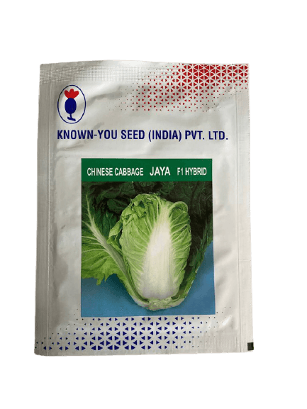 jaya f1 hybrid chinese cabbage (known - you)