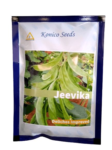 jeevika improved dolichos for farming (konico seed india)