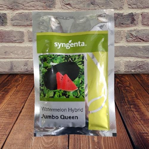 jumbo queen f1 hybrid watermelon (syngenta)