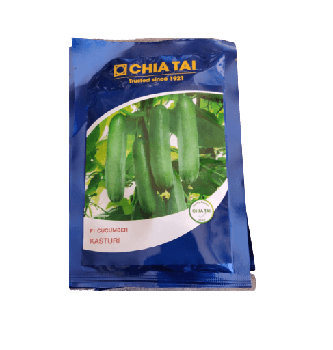 kasturi f1 hybrid cucumber (chia tai seeds)