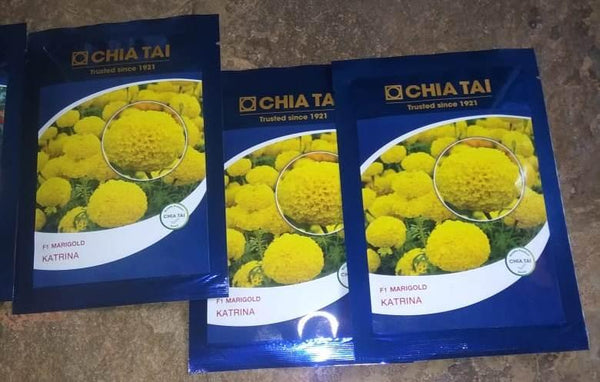 katrina/कटरीना hybrid f1 yellow marigold (chia tai seeds)