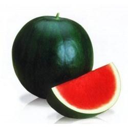 kiran/किरण hybrid watermelon ice box type-red flesh (known you seeds)