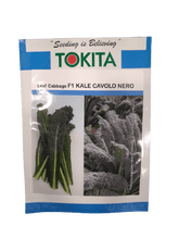 leaf cabbage f1 kale cavolo  nero (tokita seeds)