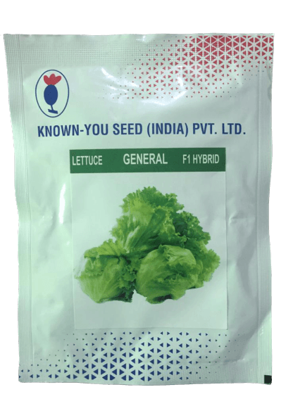 lettuce general f1 hybrid (known you seeds)
