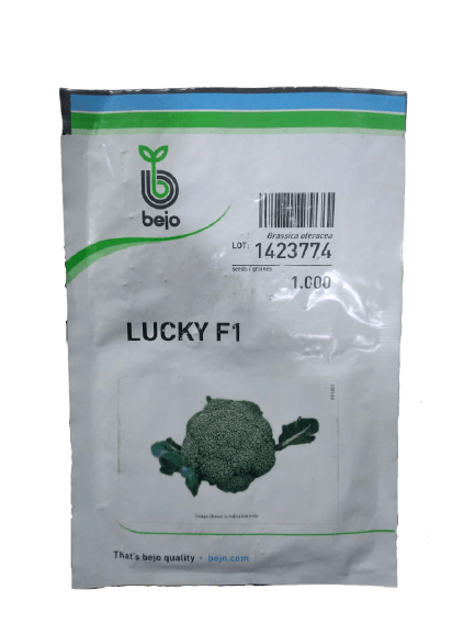lucky f1 hybrid brocolli (bejo)
