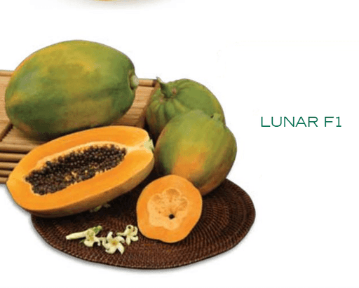lunar f1 papaya (east west seeds)