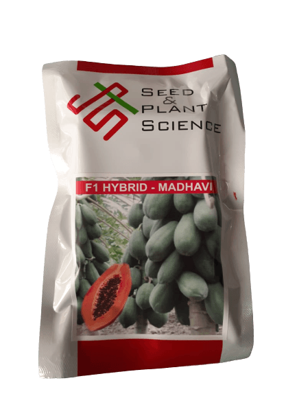 madhavi hybrid f1 papaya (seed & plant science)
