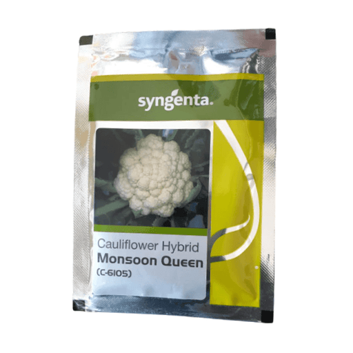 monsoon queen (c-6105) f1 hybrid cauliflower (syngenta)
