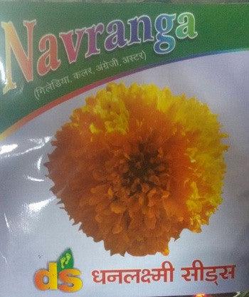 navranga/नवरंगा flower seeds (dhanlakshmi seeds)