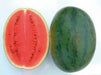 ns 20 (h20) watermelon (namdhari)