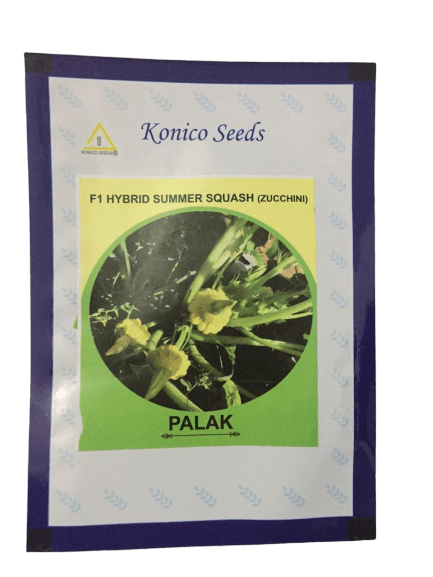 palak/पलक  f1 hybrid  scalloped squash-patty pan (konico seeds)