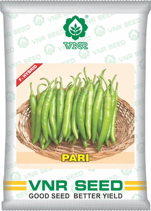 pari f1 hybrid chilli (vnr seed's)