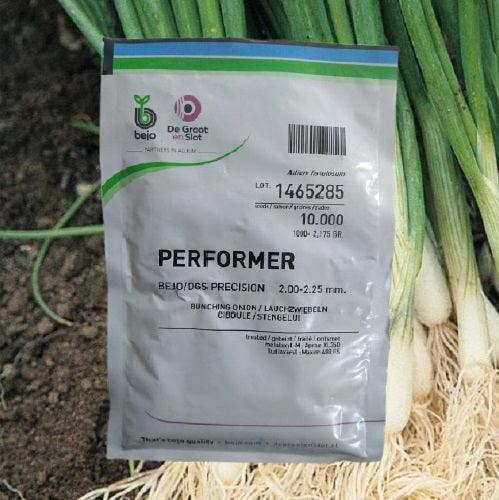 performer spring/bunching onions (bejo)