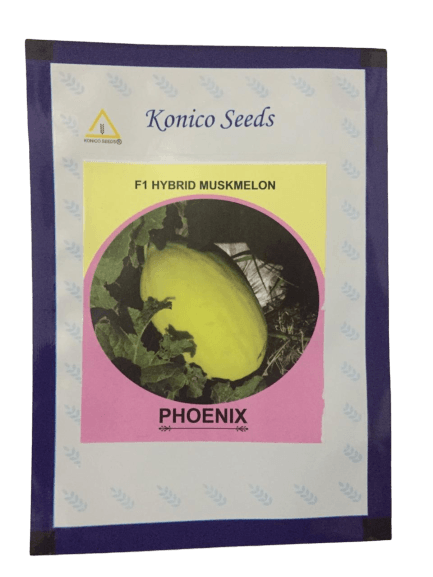 phoenix/फोनिक्स f1 hybrid yellow muskmelon (konico seeds)