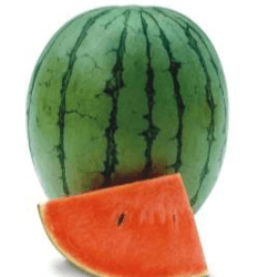 prachi/प्राची hybrid watermelon ice box type-red flesh (known you seeds)