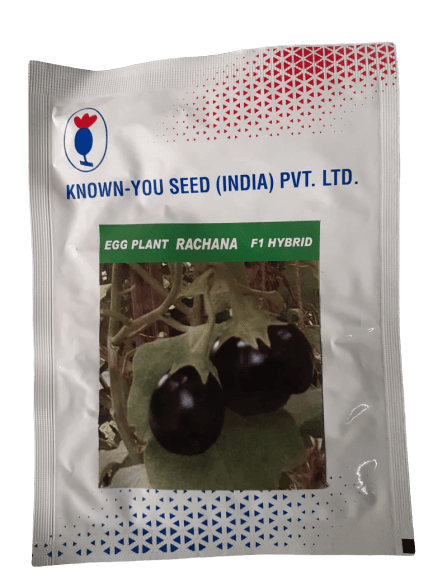 rachana hybrid f1 eggplant (known you seeds)