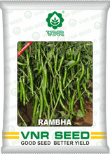rambha f1 hybrid chilli (vnr seed's)