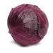 red jewel f1 hybrid cabbage  (sakata)