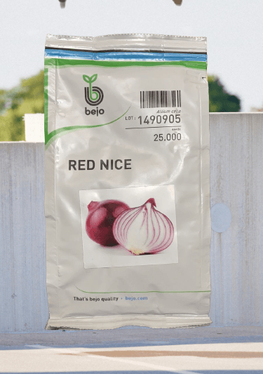 red nice onion (bejo)