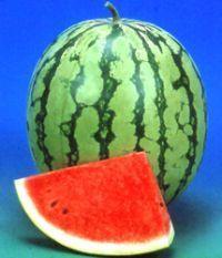 renuka/रेणुका hybrid watermelon (known you seeds)