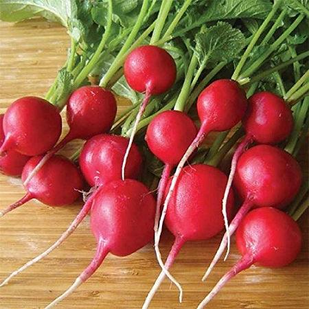 imported scarlet round red radish good tests seeds