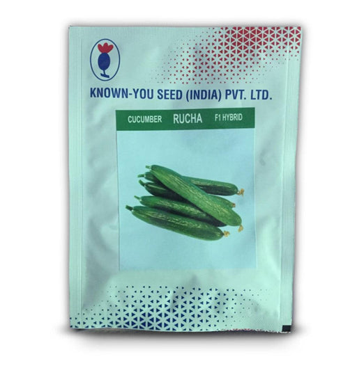 rucha cucumber (known you seeds)