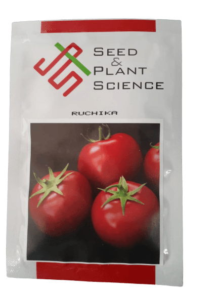 ruchika f1 hybrid tomato (seed & plant science)