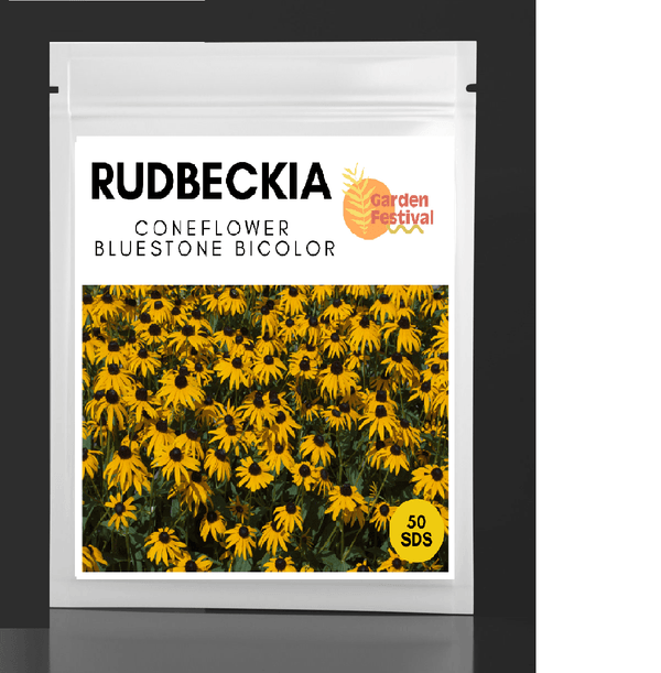Coneflower Rudbeckia BlueStone Bicolor Mix (Garden Festival) - Farmers Stop