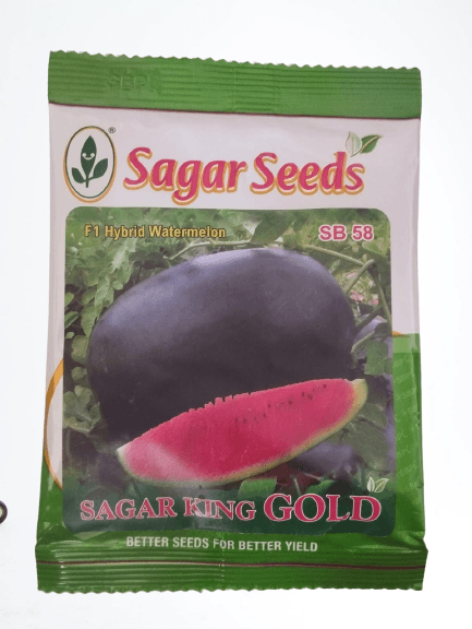 sagar king gold/सागर किंग गोल्ड f1 hybrid watermelon (sagar seeds)