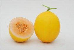 Sanvi/सानवी Muskmelon (Known You Seeds) - Farmers Stop