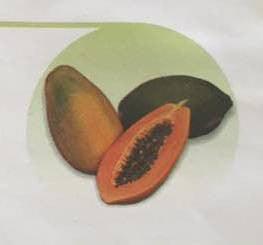 sapna/सपना f1 papaya (east west seeds)