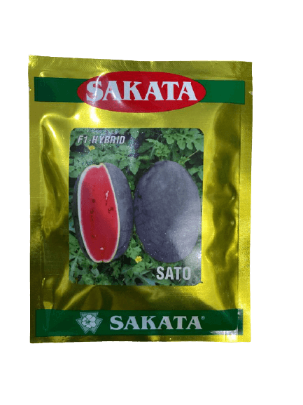 sato/साटो hybrid f1 watermelon (sakata seeds)