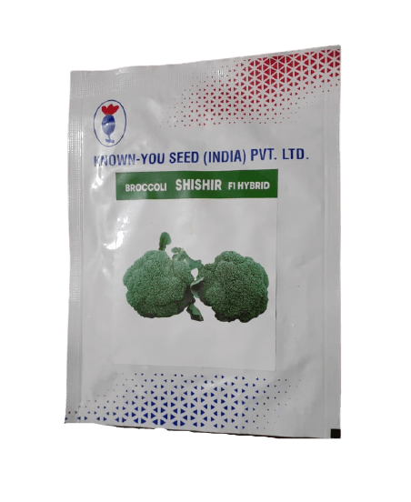 shishir f1 hybrid broccoli (known you seeds)