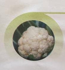 shobha/शोभा cauliflower (east west seeds)