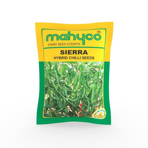 sierra f1 hybrid chilli/hotpepper (mahyco)