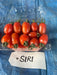 siri f1 hybrid cherry tomato (known you seeds)