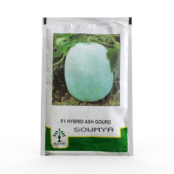 sowmya f1 hybrid ashgourd/(पेठा के बीज) (kalash seeds)