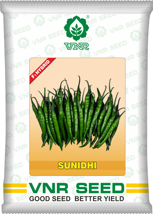 sunidhi f1 hybrid chilli (vnr seed's)