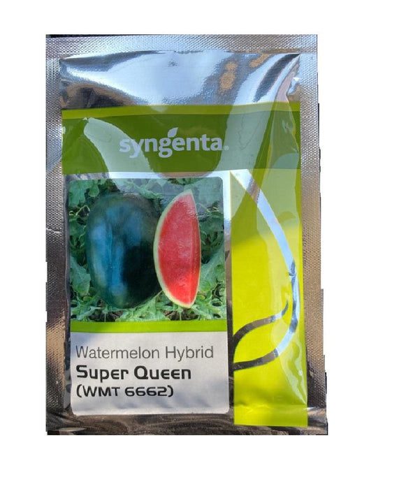 super queen f1 hybrid watermelon (syngenta)