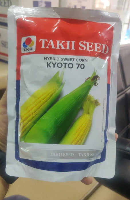 Kyoto 70 F1 Hybrid Sweet Corn (Takii Seed)