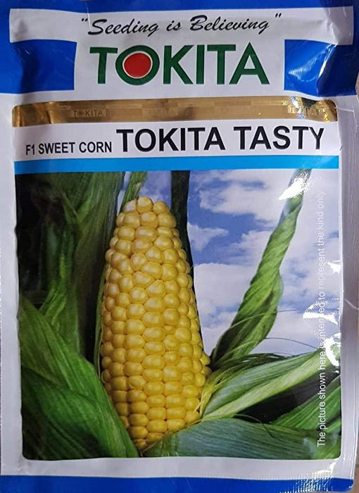 tokita tasty f1 sweet corn (tokita seeds)