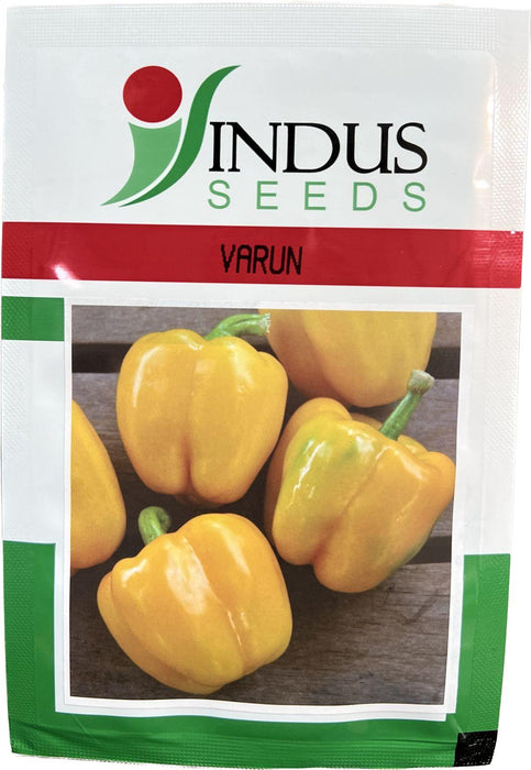 varun yellow capsicum f1 (indus seeds)