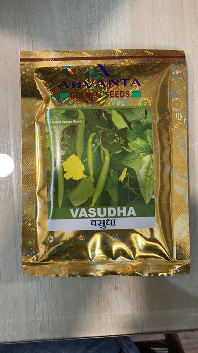 vasudha f1 hybrid sponge gourd (golden/advanta)