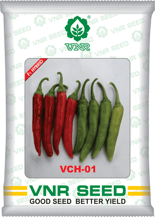 vch 01 f1 hybrid chilli (vnr seed's)