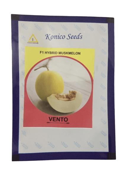 vento/वेंटो f1 hybrid yellow muskmelon (konico seeds)