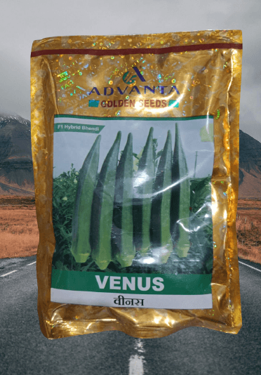 Venus F1 Hybrid Okra/Bhindi (UPL Advanta)