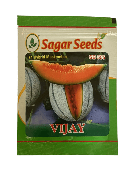 vijay f1 hybrid muskmelon (sagar seeds)