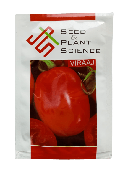viraaj f1 hybrid tomato (seed & plant science)