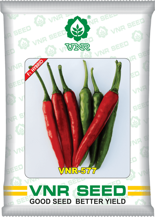 vnr 577 f1 hybrid chilli (vnr seed's)