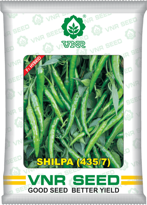 shilpa (435/7) f1 hybrid chilli (vnr seed's)